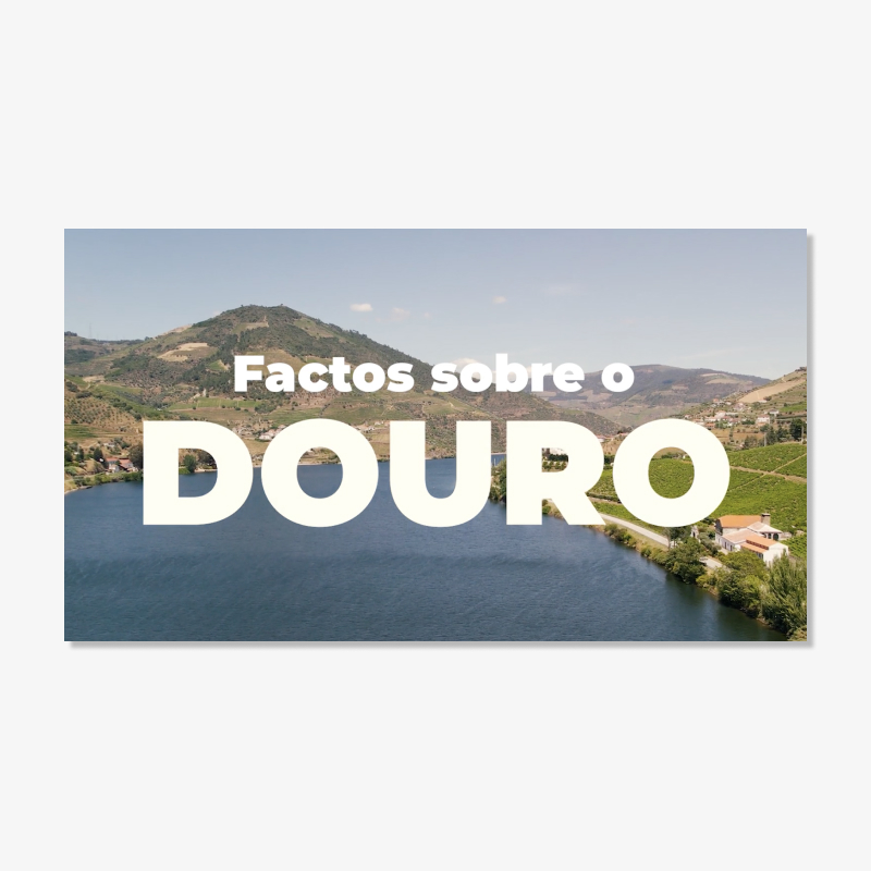 Douro video 1