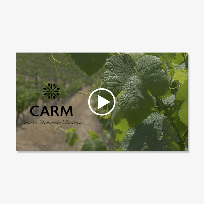 Vídeo Institucional para a empresa Carm